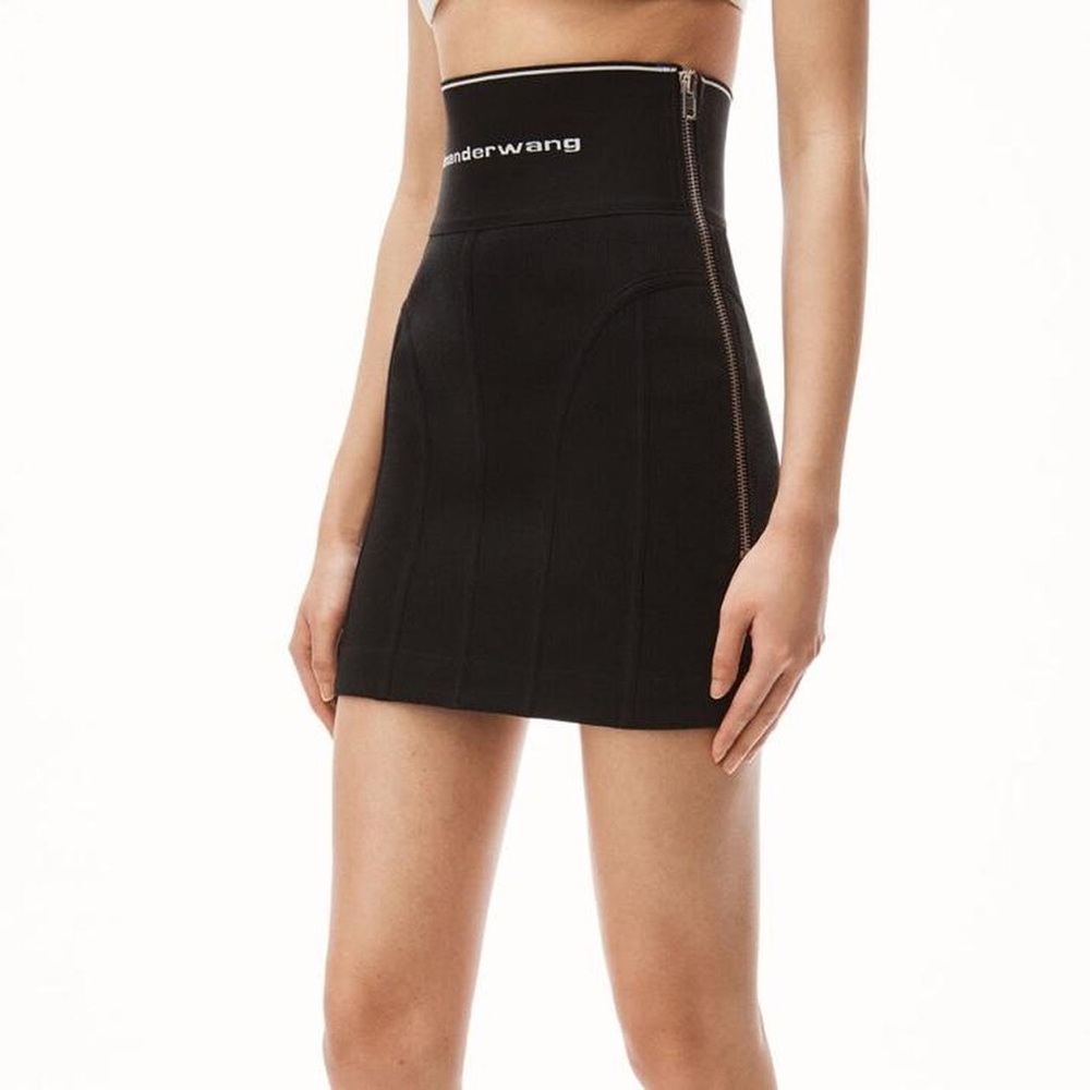 Alexander Wang Black Mini Skirt with Zipper Detail - Picture 1 of 8